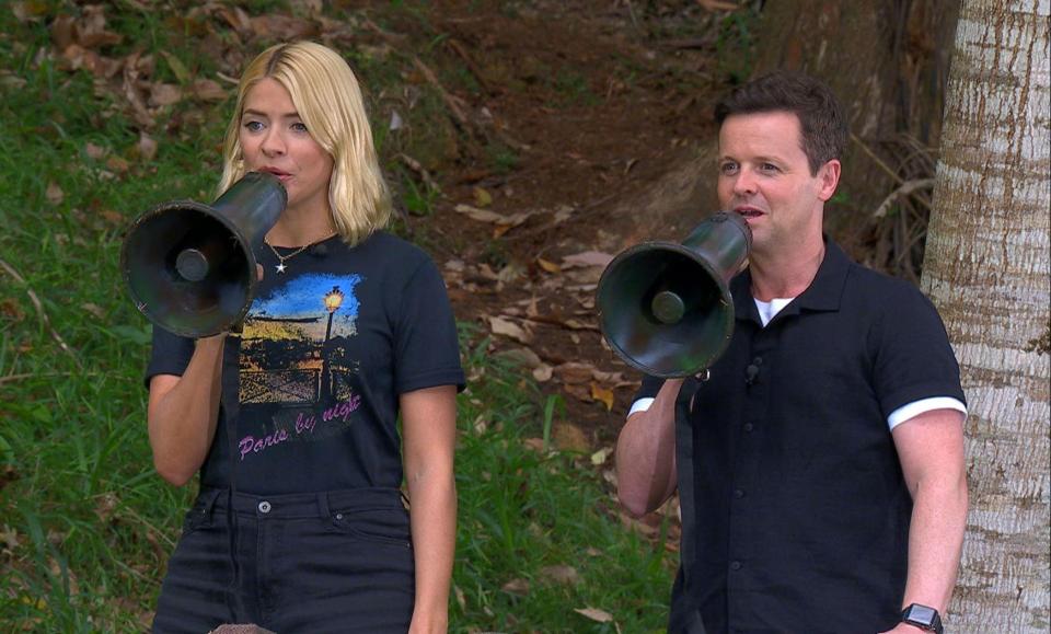  The final is being hosted by Holly Willoughby and Dec Donnelly