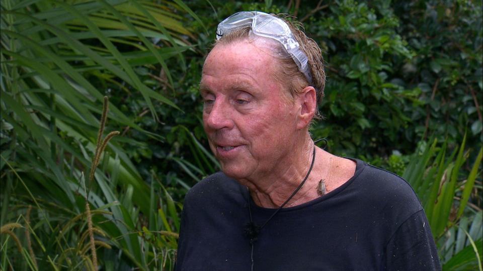  Harry Redknapp also remains in the jungle