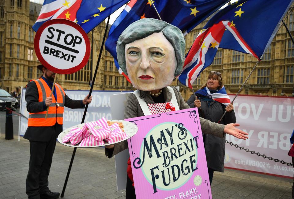  A campaigner giving out Mrs May's 'Brexit fudge' in Parliament today