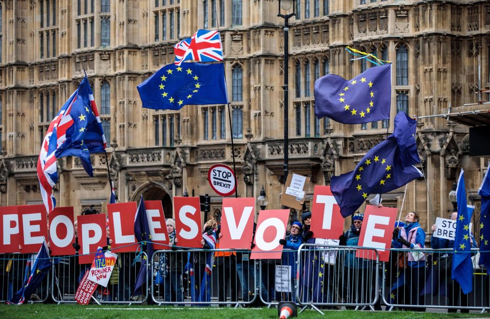  Campaigners want another referendum on Brexit to try and stay in the EU