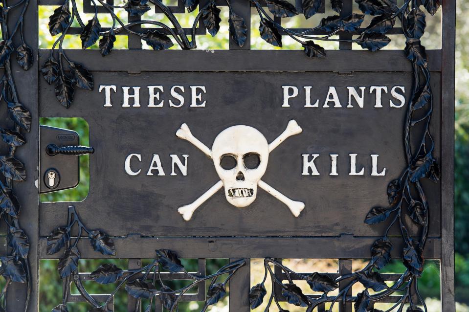  Alnwick Poison Garden is home to 100 lethal plants