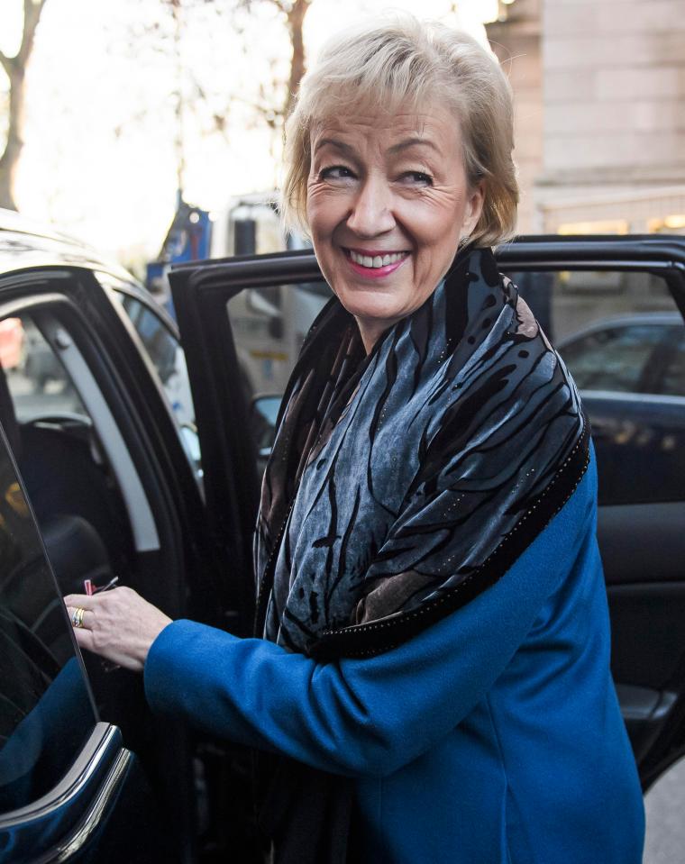  Andrea Leadsom pleaded with the PM to only delay the vote by a week