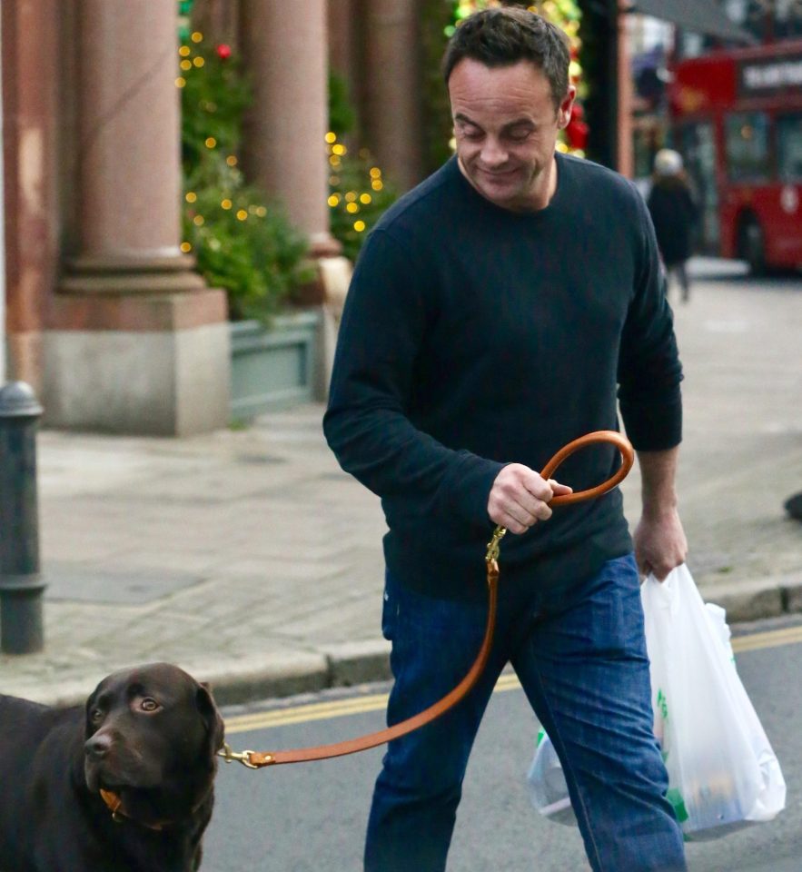  Ant beamed as he looked down at his loyal pooch, who he owned with his ex-wife Lisa Armstrong