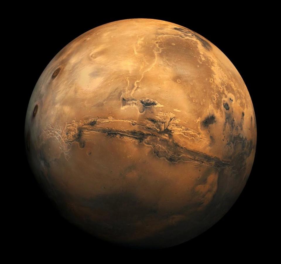  An astrobiologist said there is a 'very good chance' that signs of life will be found on Mars