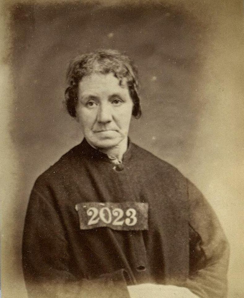  Agnes Rose Flowers, 44, stole a short worth two shillings six pence - she received one month of hard labour