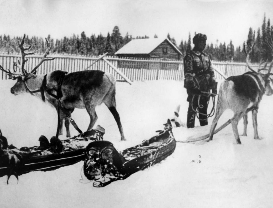  German soldiers turned to reindeer for food