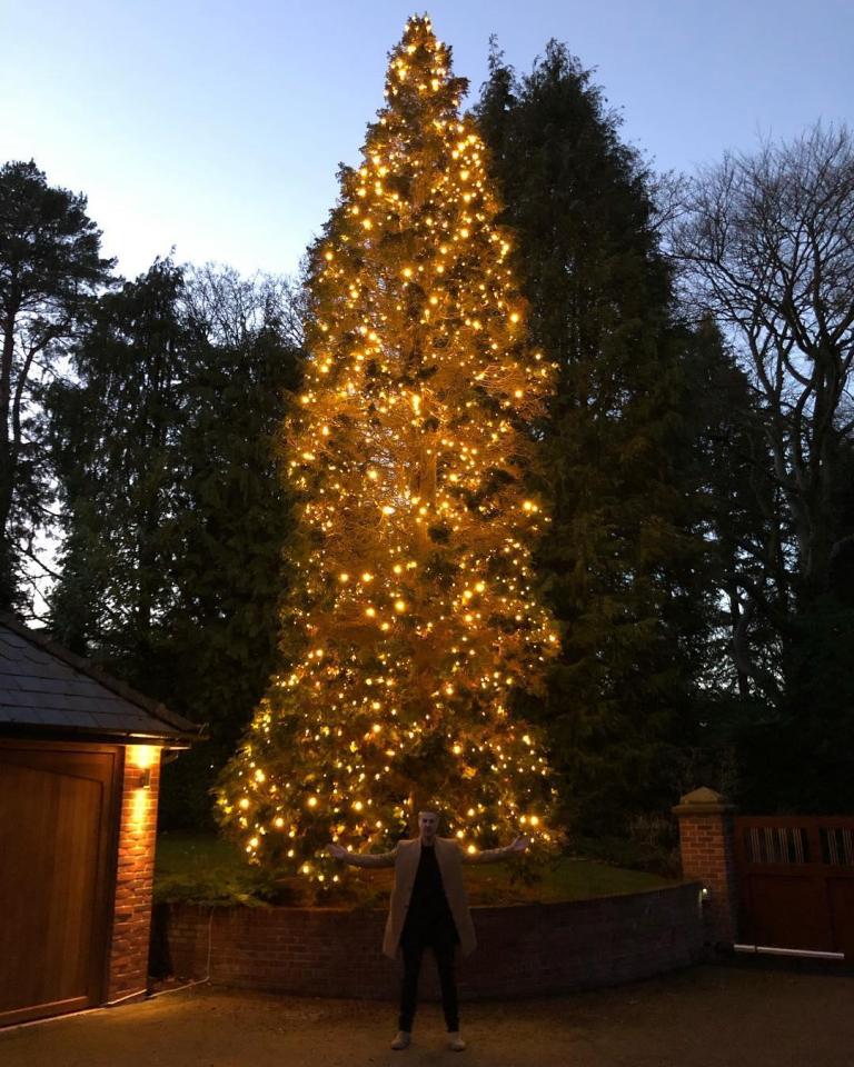  The couple shared a snap of the tree which they are keeping outside of their home