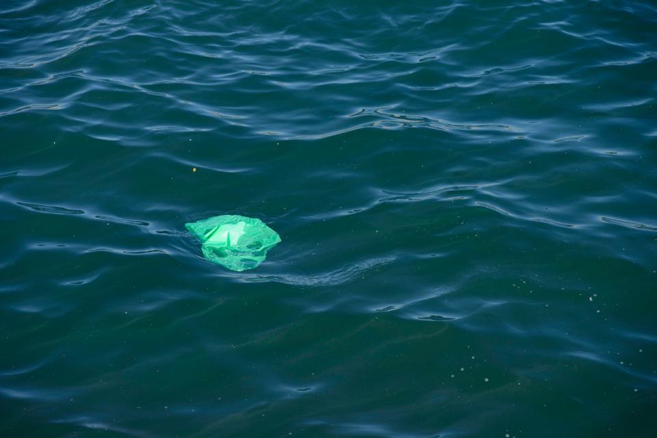 Plastic bags do not degrade, making them extremely bad for the environment