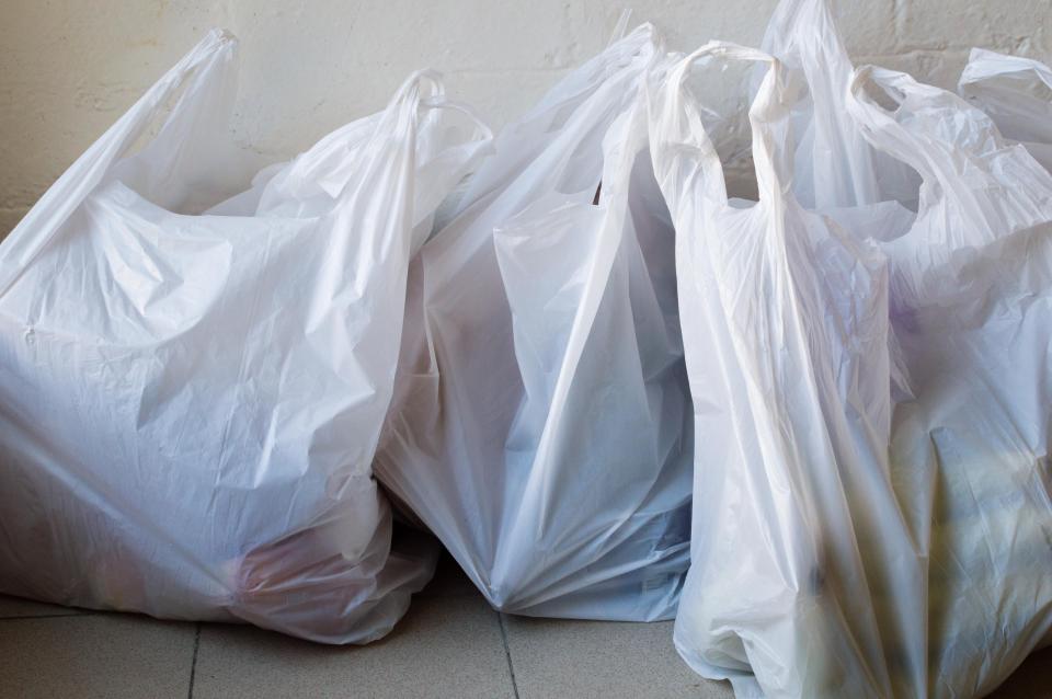 The introduction of bags for life plastic bags was supposed to cut down on single-use bags