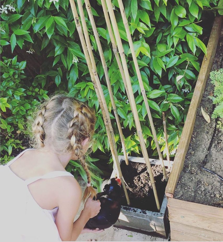  Belle planting seeds in their neat back garden