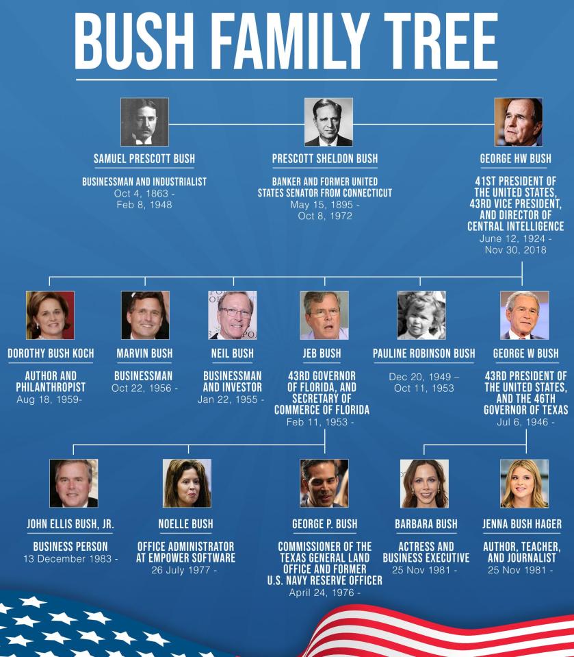  The Bush family tree