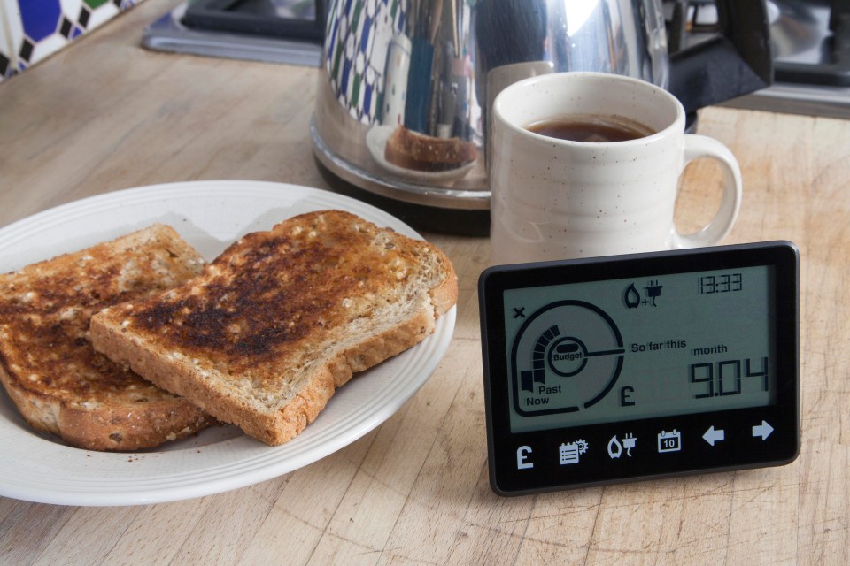 Bright start: your in-home display lets you easily monitor your energy usage