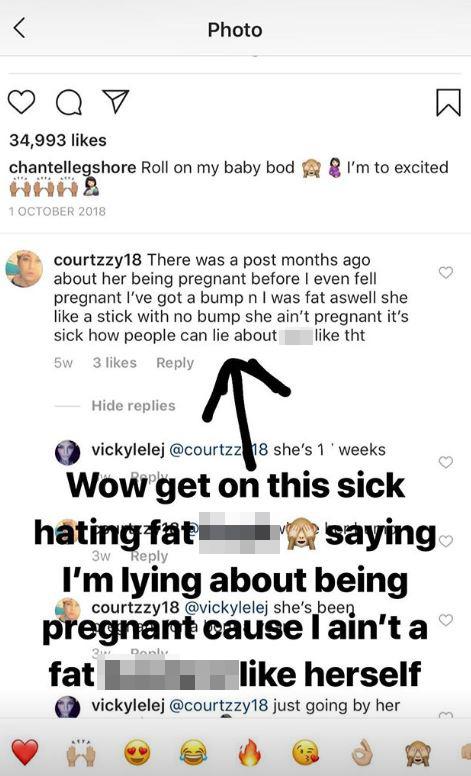  Chantelle called out the cruel troll on her Instagram Story