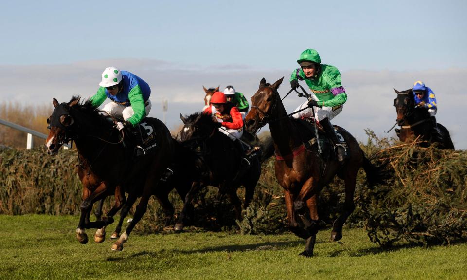  Mon Mome (right) goes on to win the 2009 Grand National