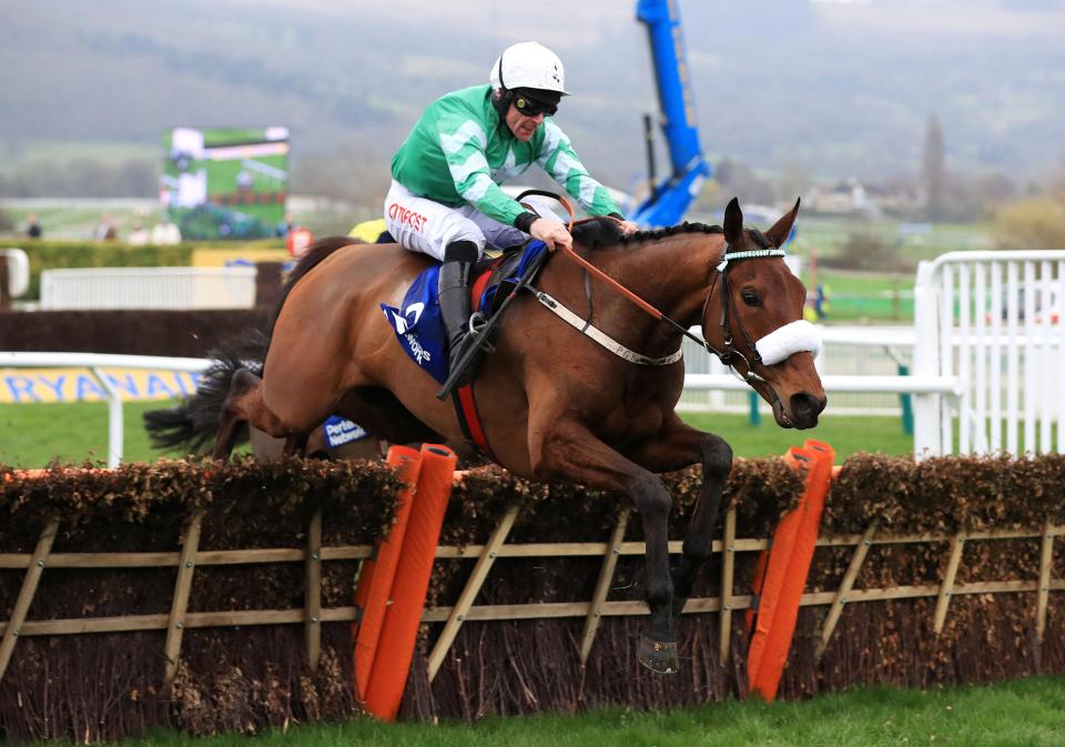  Presenting Percy made a winning reappearance at Gowran on Thursday