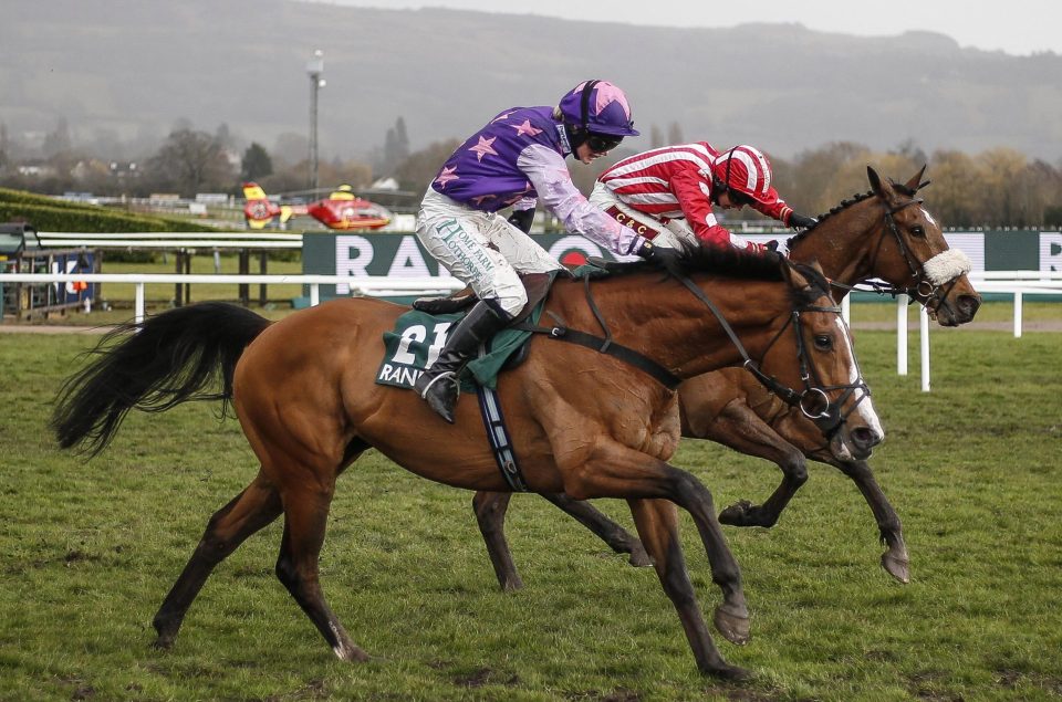  Mohaayed (nearside) might not be at home in this smaller field