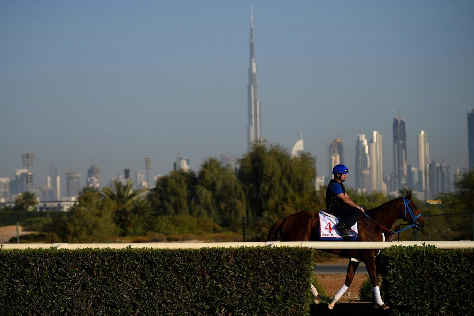  Meydan racecourse has a magnificent backdrop of Dubai's city centre