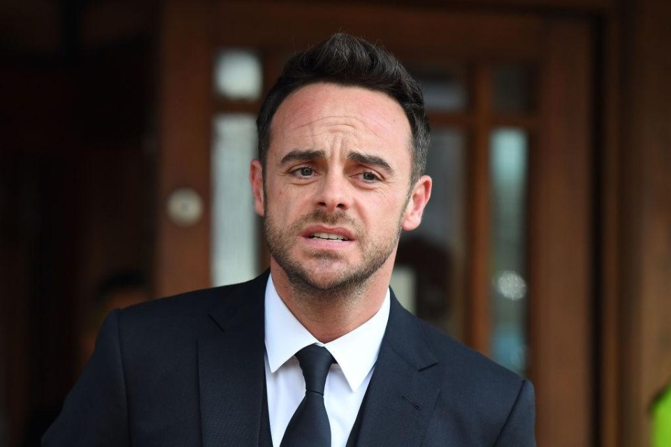 Ant took a break from the spotlight after a drink-driving charge in March last year