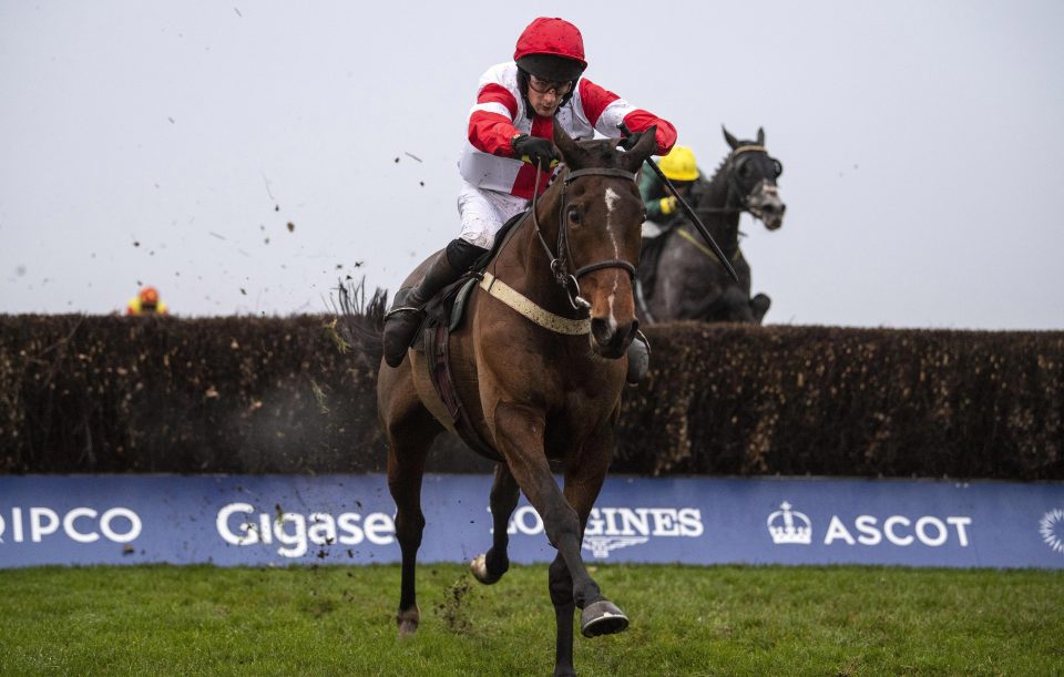  Mr Medic can bounce back to winning ways after a bad blunder cost him last time