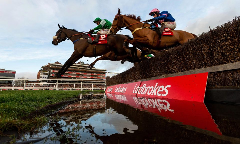  Dingo Dollar was third in the Ladbrokes Trophy