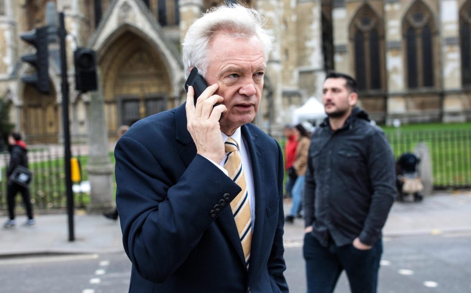  Ex- Brexit Secretary David Davis proposed that Theresa May should postpone the vote for a second time