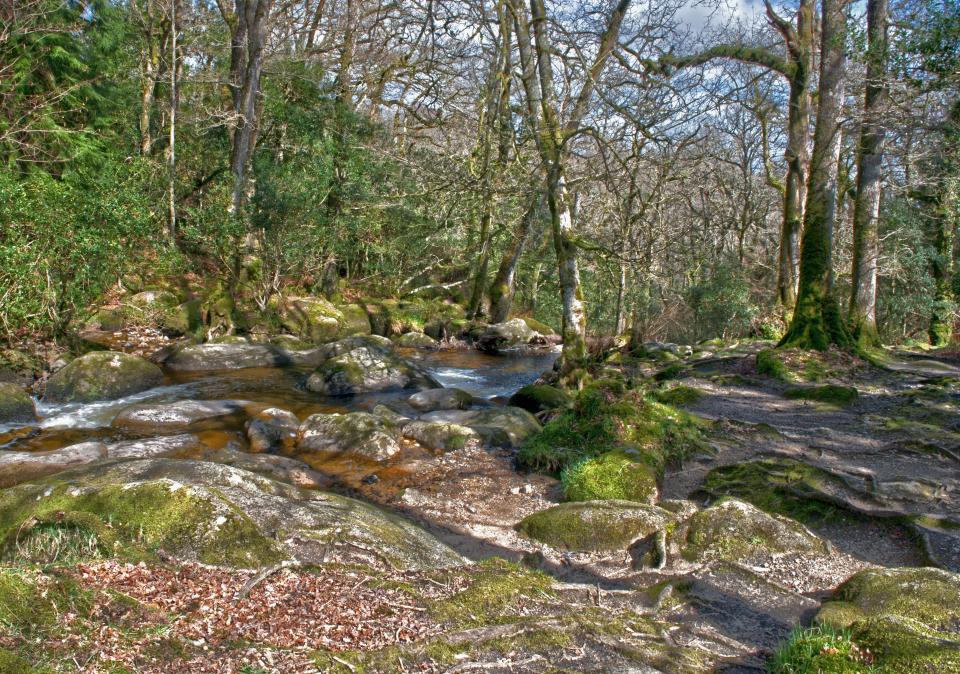  Becky Falls, near Bovey Tracey, have been attracting visitors for more than 100 years for a value-packed day out