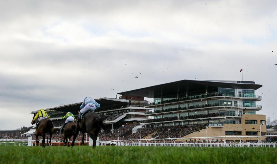  Trials Day takes place this Saturday at Cheltenham racecourse