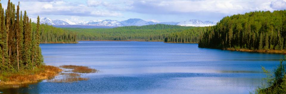  Lake Semlevo has long been considered the possible resting place of Napoleon's gold... but could treasure hunters have been searching in the wrong place?