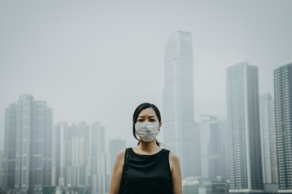 Studies have shown that pollution can also make us gain weight 