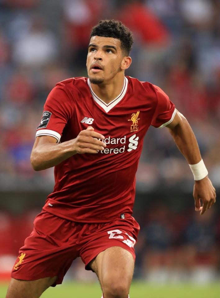  Dominic Solanke made the move to Liverpool after seeing his first team chances at Chelsea blocked