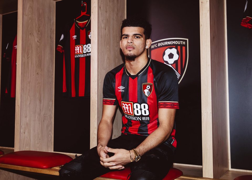  Bournemouth have signed Dominic Solanke from Liverpool for £19million