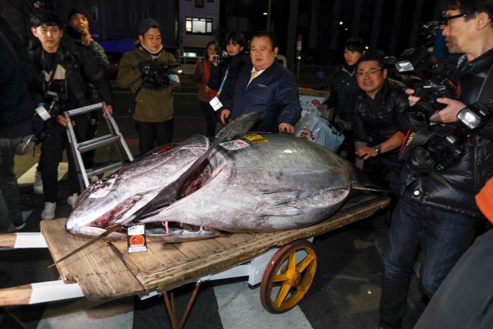  The whopper was caught off the coast of northern Japan