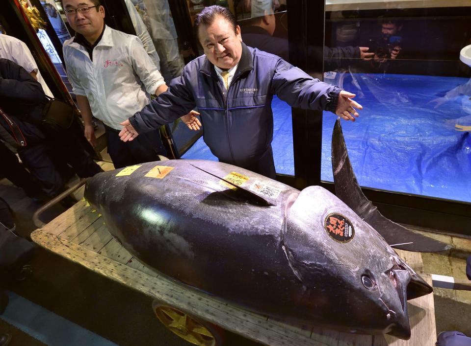  A Japanese sushi boss has paid a record breaking £2.5 million for a single blue-fin tuna