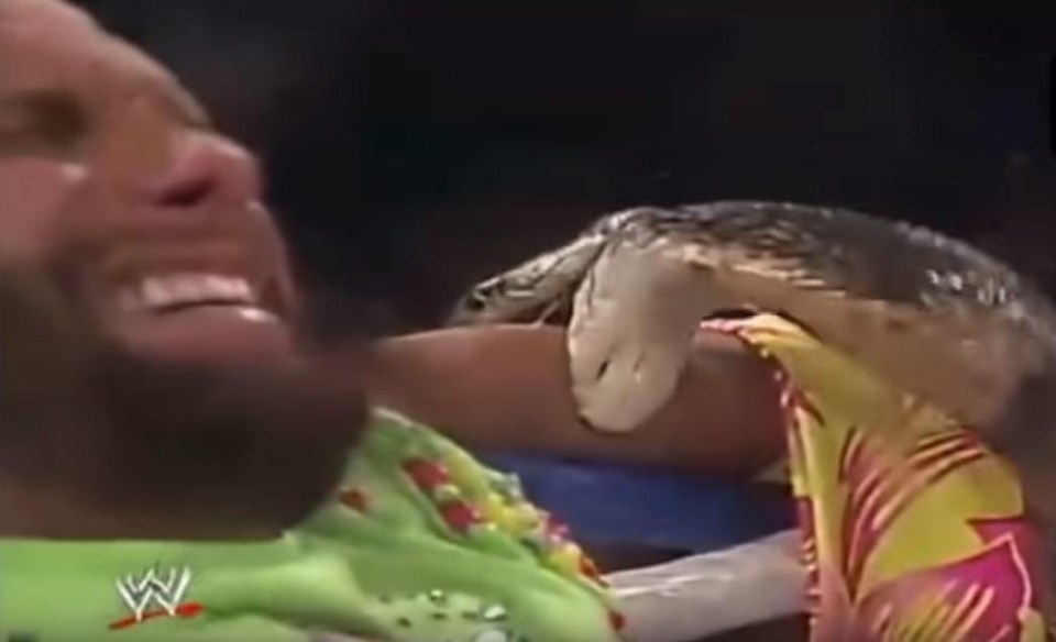 The reptile left a bloody bite, horrifying the audience