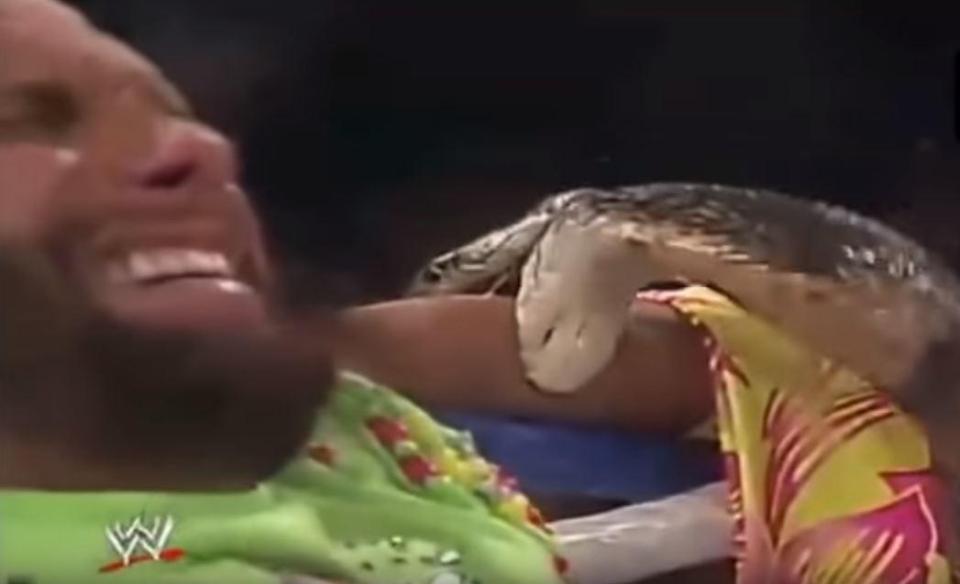  The reptile left a bloody bite, horrifying the audience