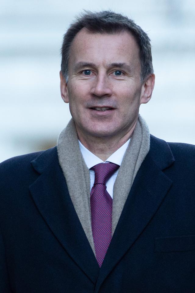  Jeremy Hunt said MPs were taking control of the Brexit process