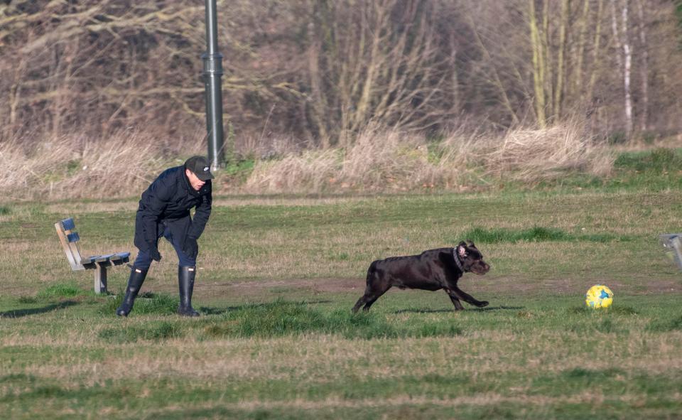  Ant was in high spirits as he played with the pooch