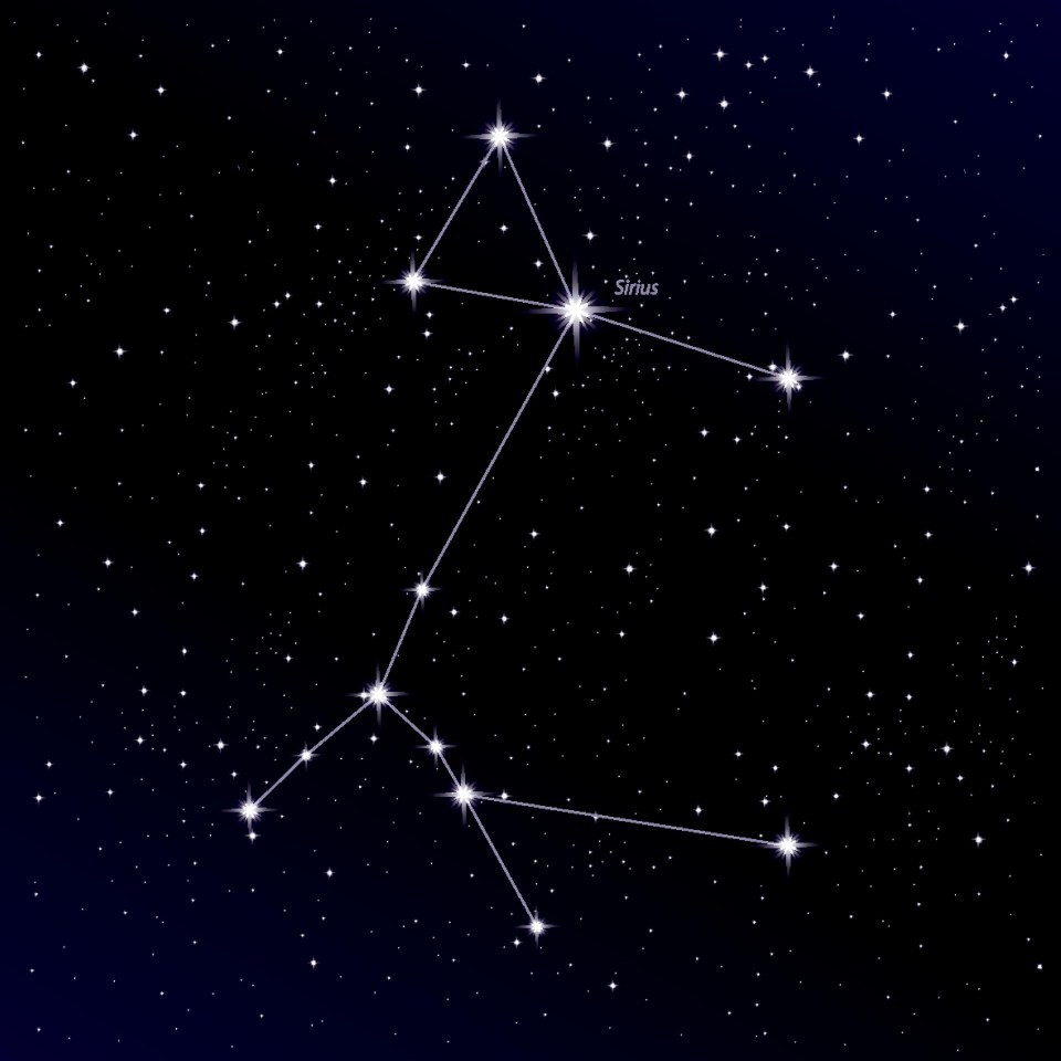 Canis Major constellation with Sirius star