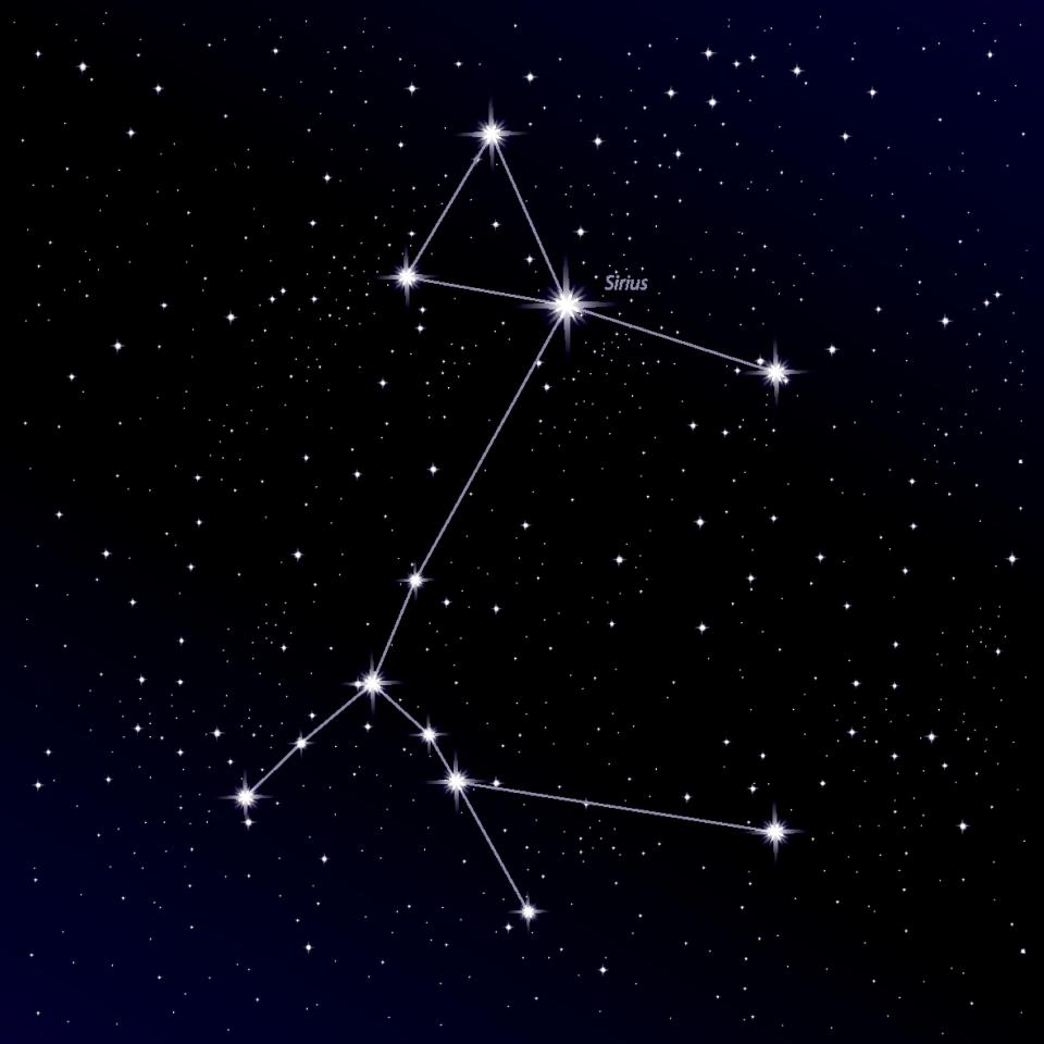  Canis Major constellation with Sirius star