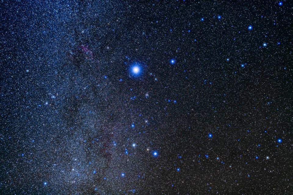 Sirius can be seen standing out in the night sky 