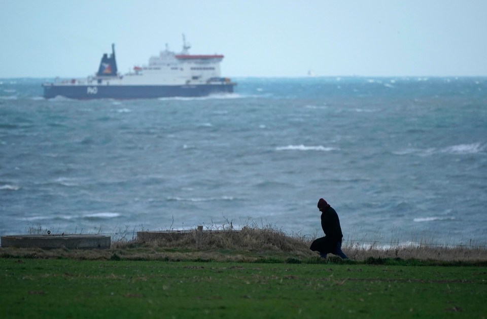 Calais wouldn't see ANY extra checks for lorries when we leave, the Port's boss has insisted