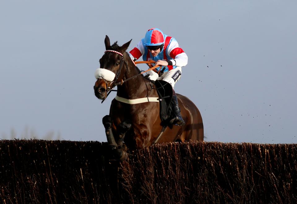  Saint Calvados was last seen in the Tingle Creek behind Altior