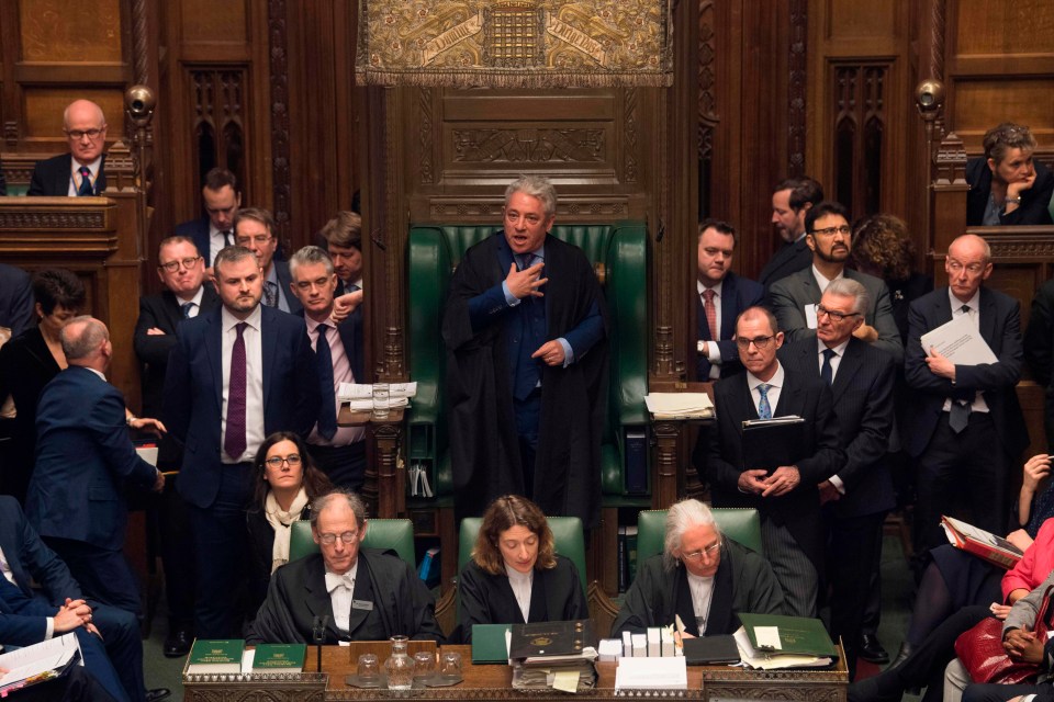 Remainer plotters first toadied up to Speaker John Bercow to try to block a No Deal Brexit