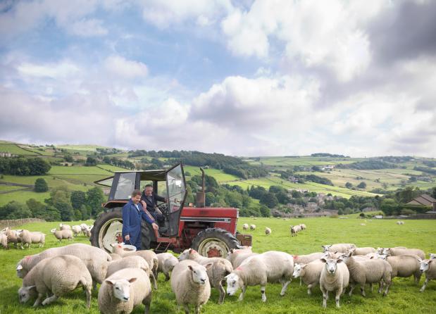 a man driving a red tractor surrounded by sheep