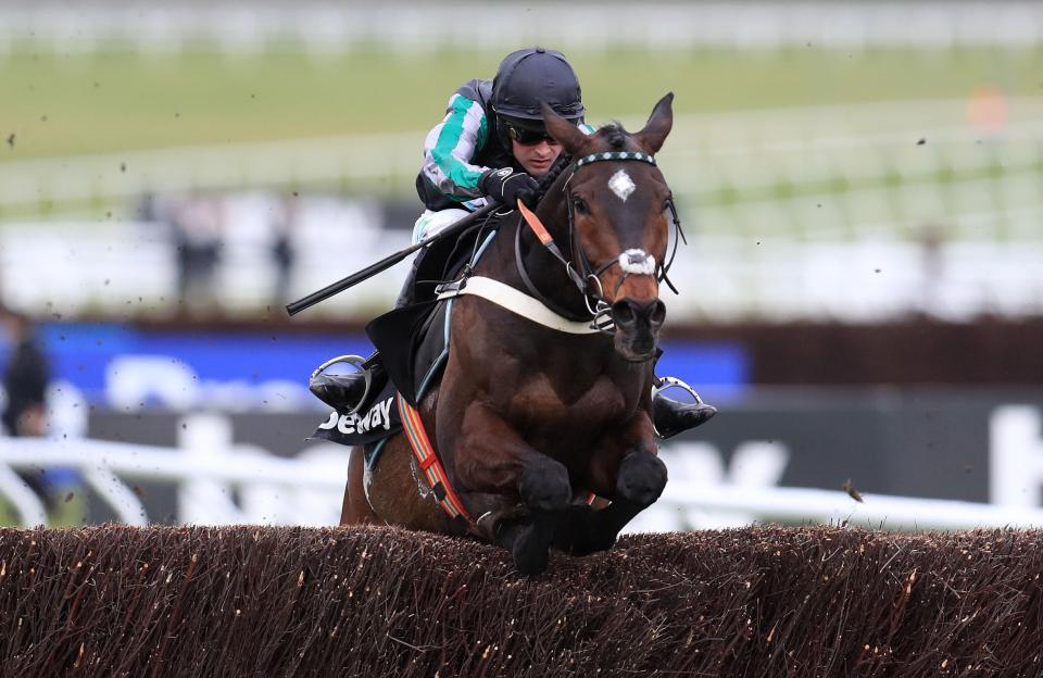  Altior will be a ridiculous price - so just sit back and watch