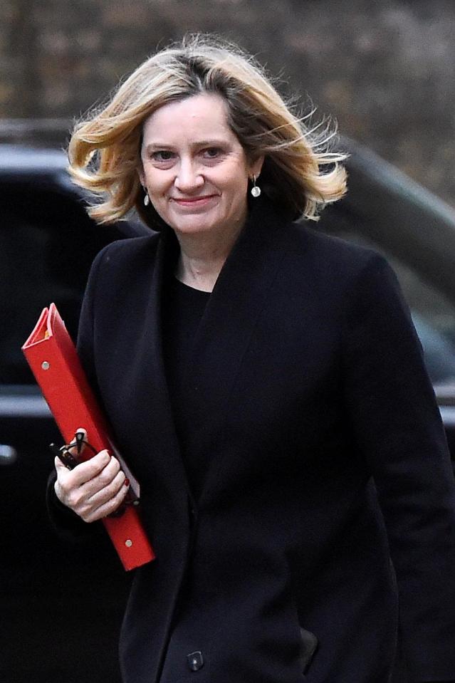  Amber Rudd could quit over Brexit