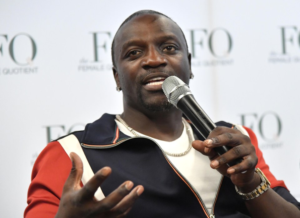 Akon said: ‘I’ve been thinking about running for 2020 very seriously’