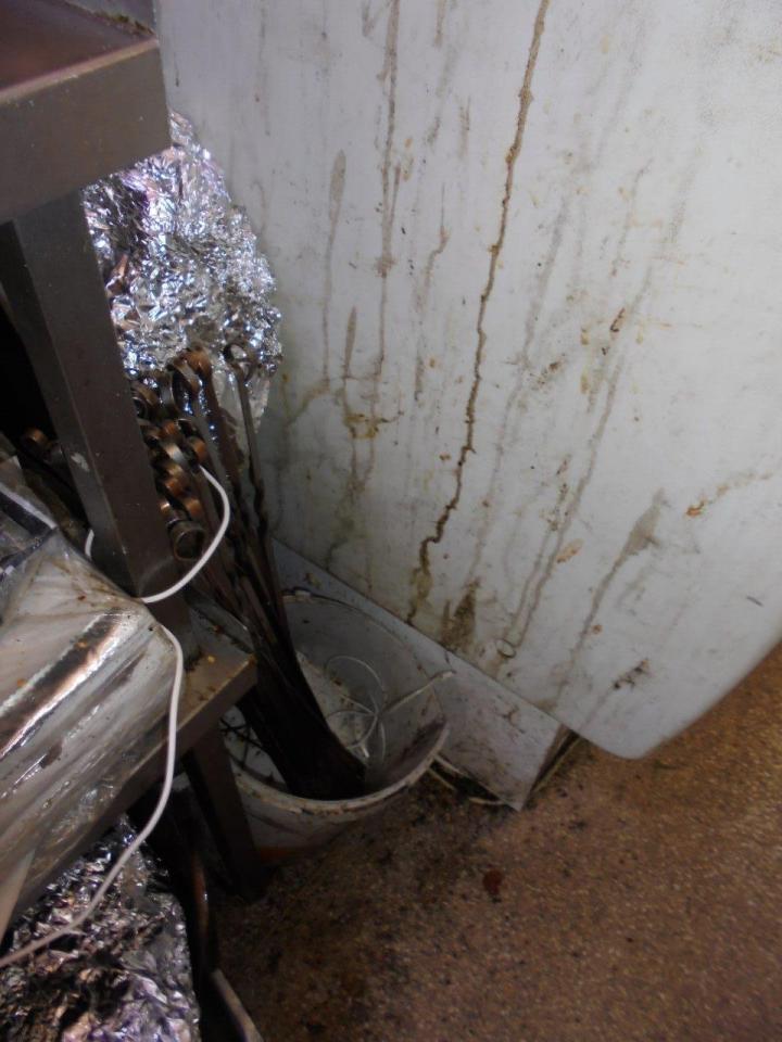  Pictures of the restaurant reveal unhealthy conditions and the restaurant was fined £20,000