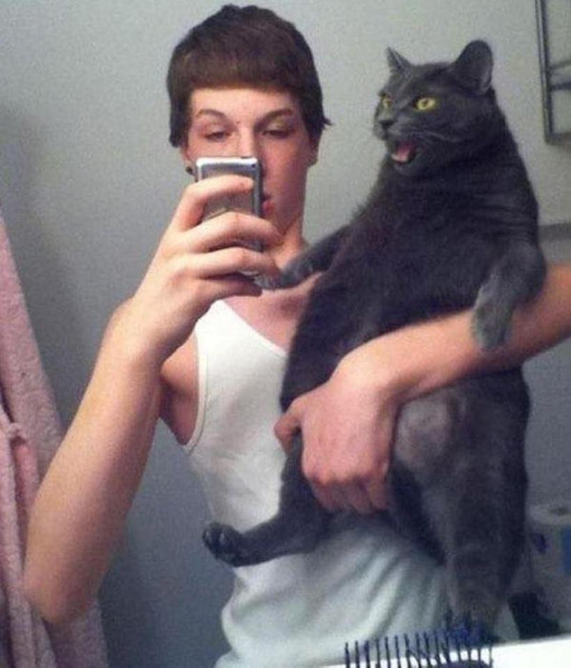  This cat doesn't look too pleased to be held like that