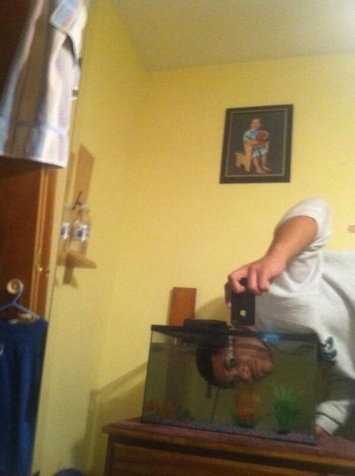  This boy is guilty of sticking his head in the fish bowl for this selfie